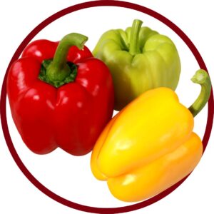 Nuestro trabajo corredor verduras almeria 2