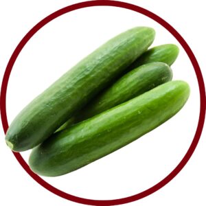 Servicios corredor verduras almeria 7